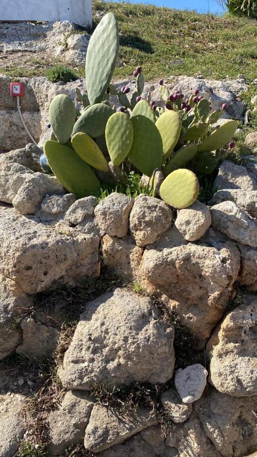 فيلا Trullo Elvira & Luigi مونوبولي المظهر الخارجي الصورة
